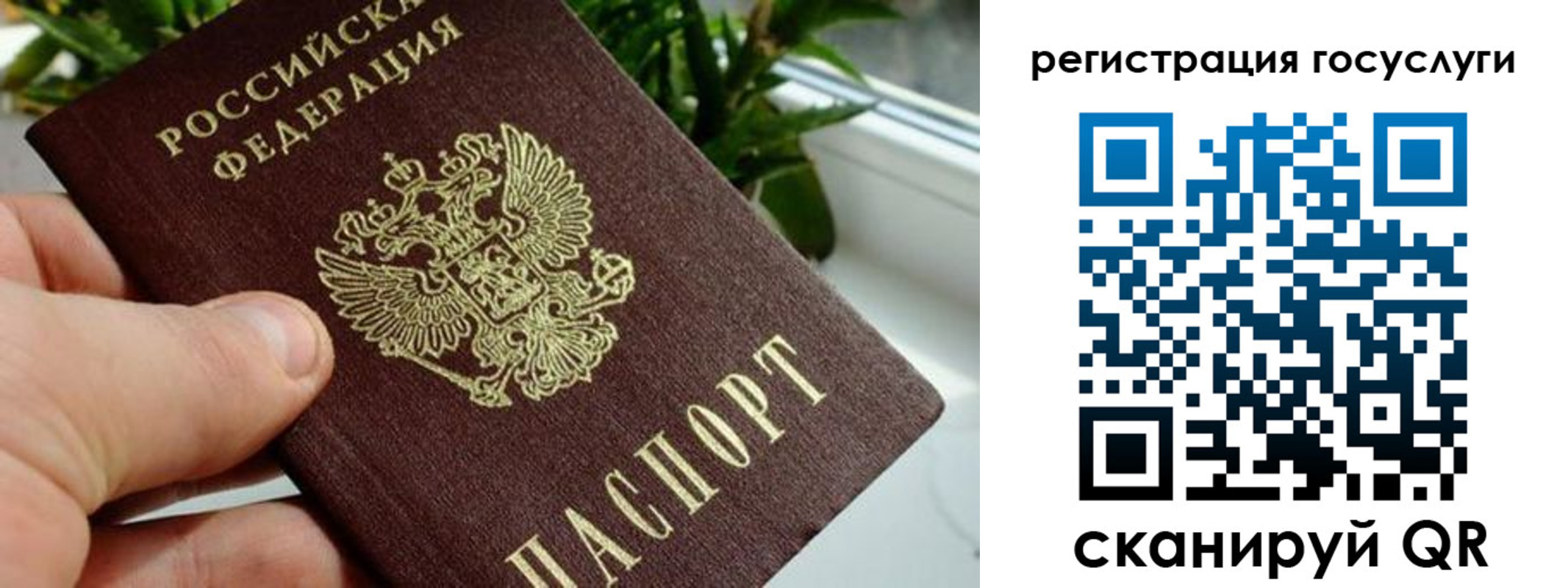 прописка для кредита в Называевске